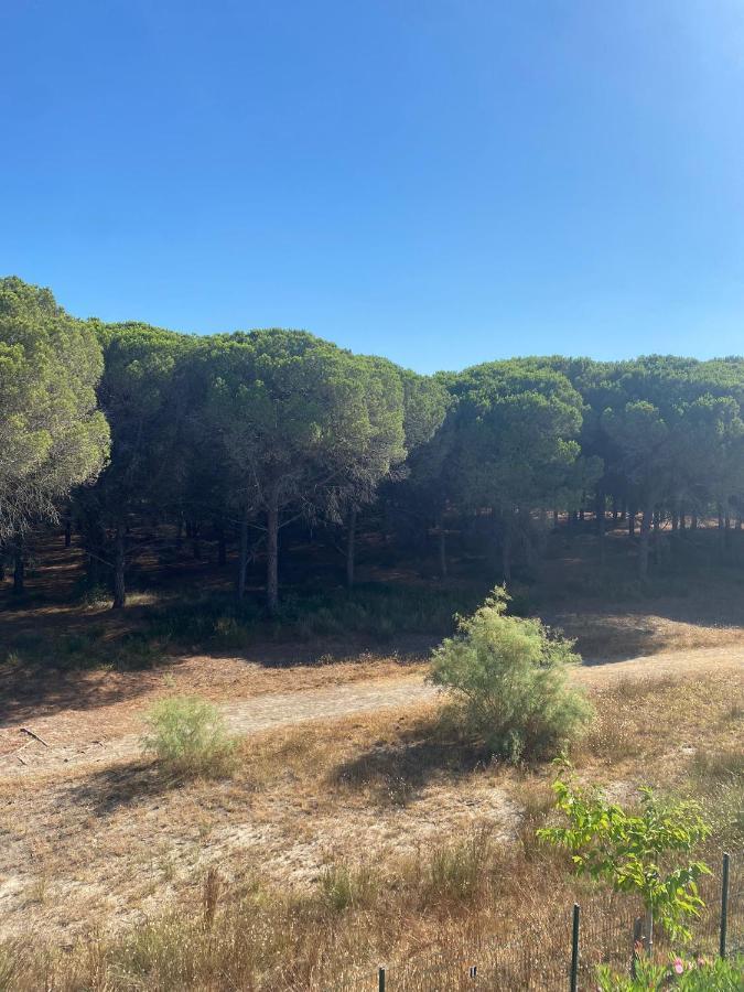 לה גרנד מוט Studio Cabine Mer Et Pinede 26M2: 4Pers, Neuf, Cosy מראה חיצוני תמונה